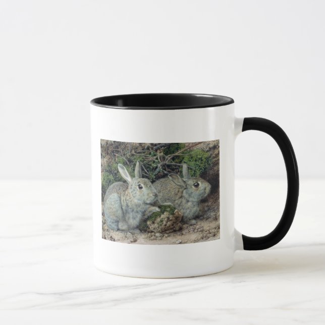 Taza Conejos (Derecha)
