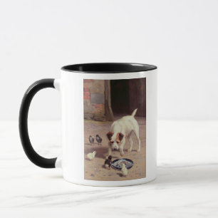 Taza Confrontación