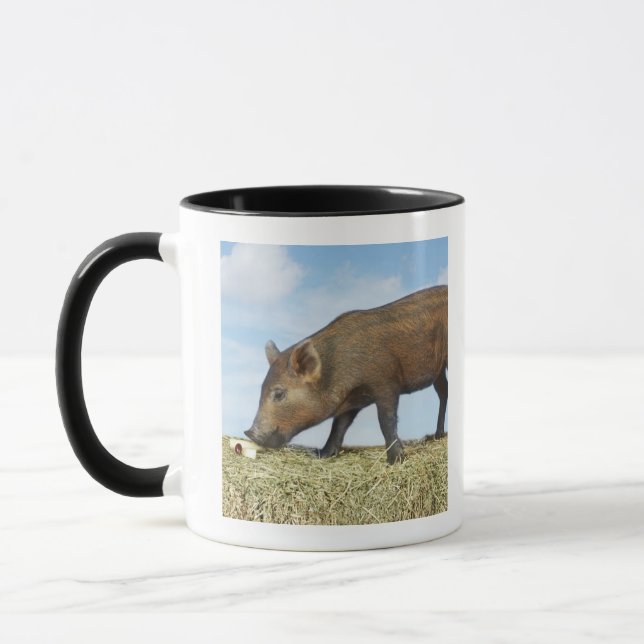 Taza Consumición del cochinillo (Izquierda)