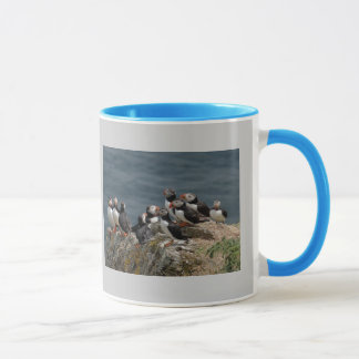 Taza Convenio del frailecillo
