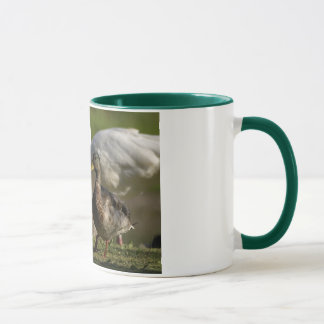 Taza Convenio del pato