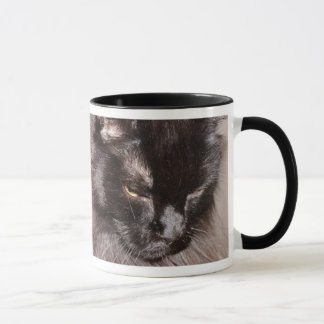 TAZA COON DE MAINE