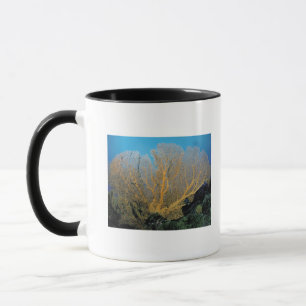 Taza Coral de Gorgonian