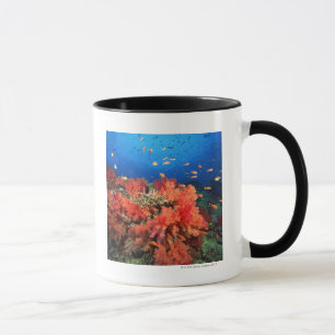 Taza Coral y pescados