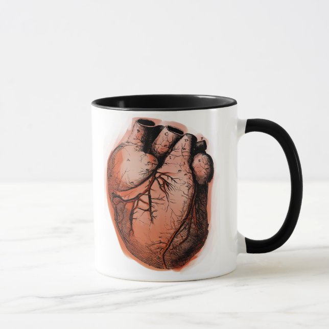 Taza Corazón anatómicamente correcto (Derecha)