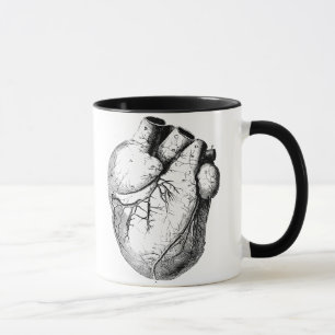 Taza Corazón anatómico correcto