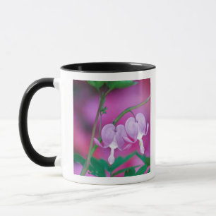 Taza Corazones Sangrantes Conectando En Jardín. Crédito