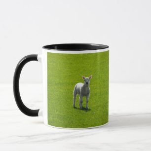 Taza Cordero pequeño