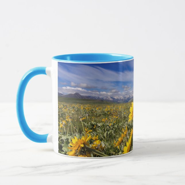 Taza Cordillera frontal de las Montañas Rocosas (Izquierda)