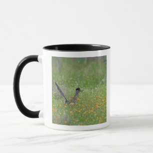 Taza Correcaminos Grande, Geococcyx