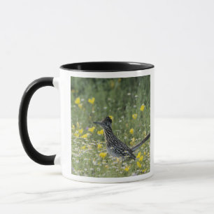 Taza Correcaminos Grande, Geococcyx californianus,