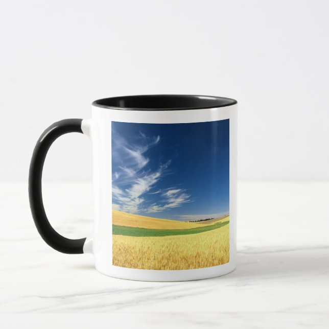Taza Cosecha de trigo en Palouse en el este (Izquierda)
