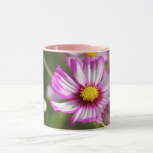 Taza Cosmos rosas, huerto de cabaña Rosalinde (Centro)