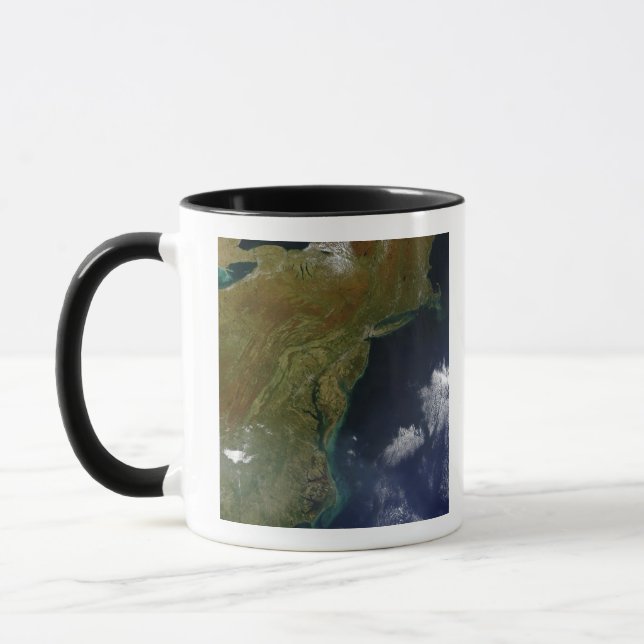 Taza Costa Este de Estados Unidos (Izquierda)