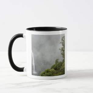 Taza Costa Rica, bosque nuboso en montañas cerca de La