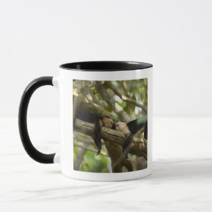 Taza Costa Rica, dos monos que descansan sobre el