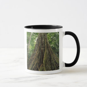 Taza Costa Rica, Parque Nacional Corcovado, Apuntalado