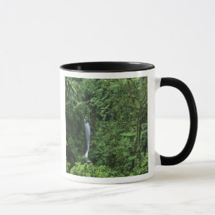 Taza Costa Rica, zona del volcán Arenal, puentes colgan