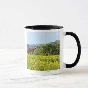 Taza Cotswolds, Reino Unido