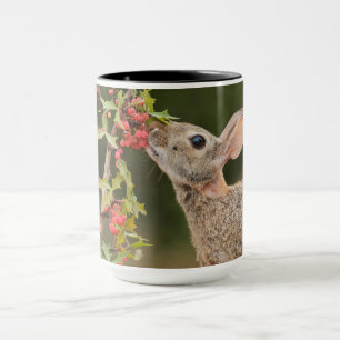 Taza Cottontail oriental Texas del Sur