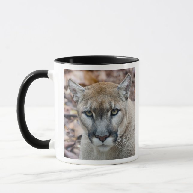 Taza Cougar, león de montaña, pantera de Florida, Puma (Izquierda)