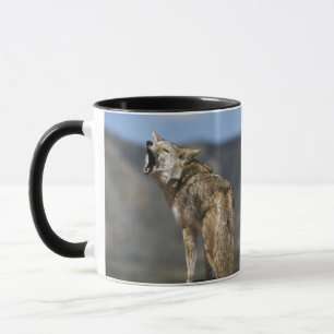 Taza Coyote que grita del punto álgido