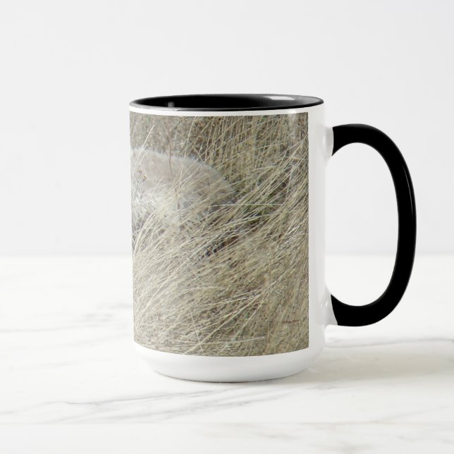 Taza Coyote R13 en grano alto (Derecha)