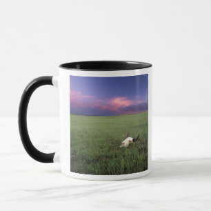 Taza Cráneo de Búfalo en Hierba de Pradera cerca de Med