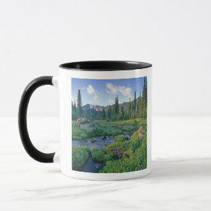 Taza Creek de picnic en la cuenca del cisne