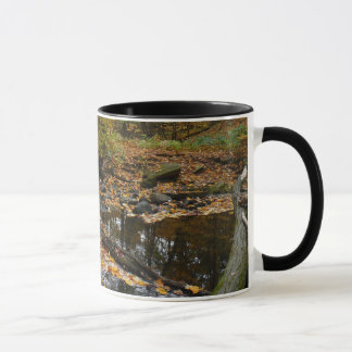 Taza Creek otoñal con reflexión en Laurel Hill Park