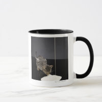 Crema de consumición de plata del gato de tabby