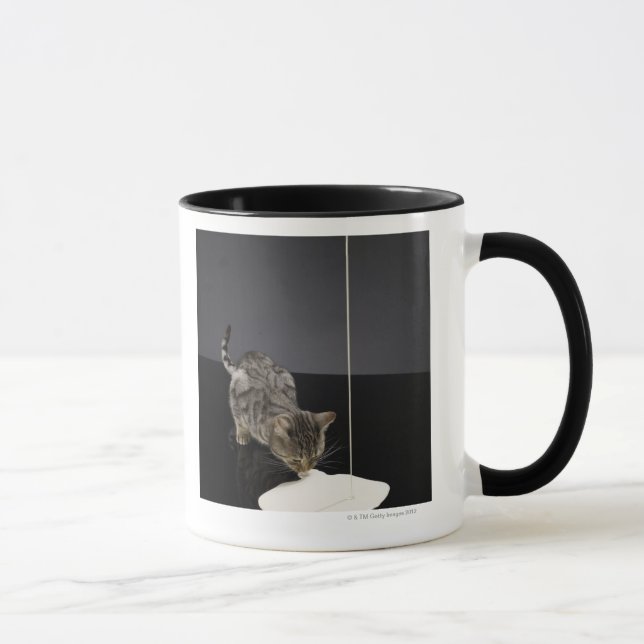 Taza Crema de consumición de plata del gato de tabby (Derecha)