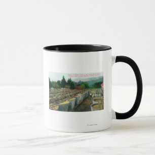 Taza Crema de tártaro vats vista en colon italiano-suiz