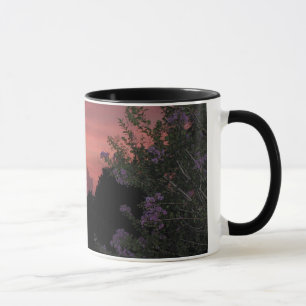 Taza Crespón Myrtle y puesta del sol