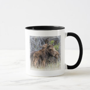 Taza Cría de alce recién nacida acariciando a su madre