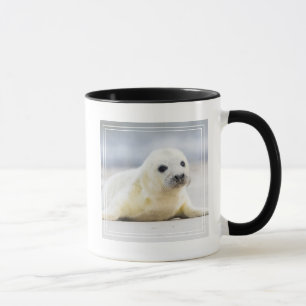 Taza Cría de foca de las imágenes el   de Getty
