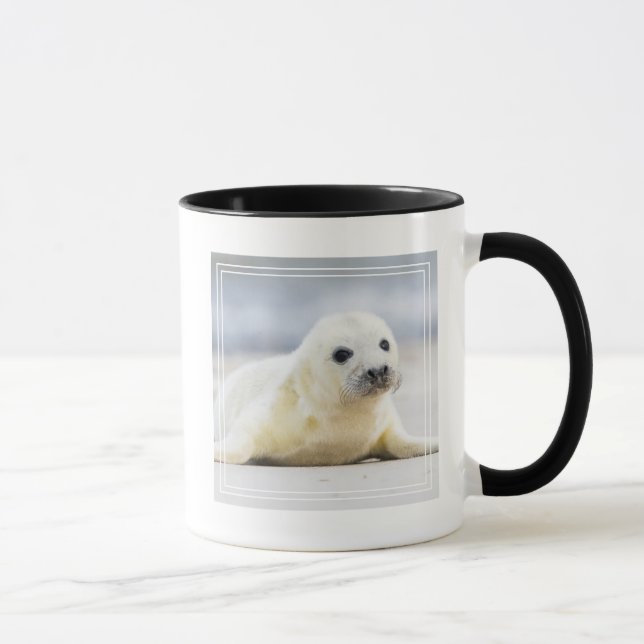 Taza Cría de foca de las imágenes el | de Getty (Derecha)