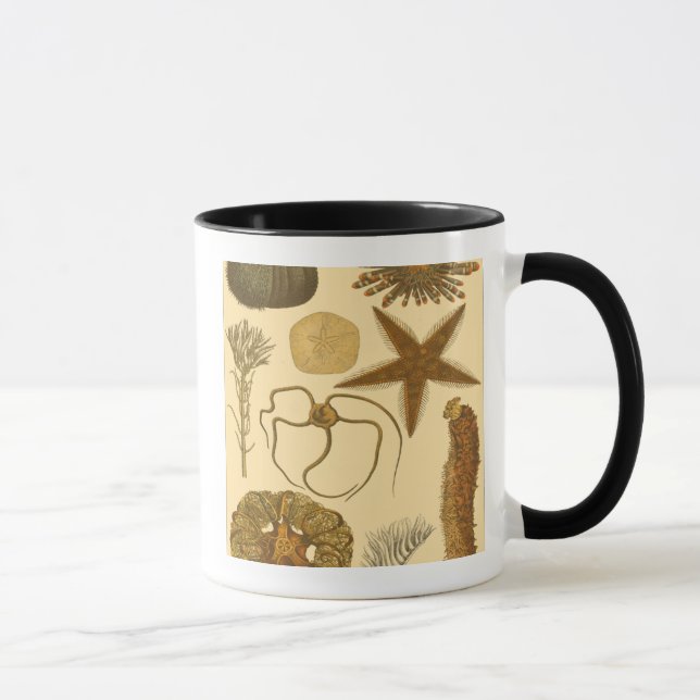 Taza Criaturas submarinas (Derecha)
