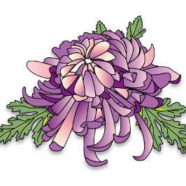 Taza Crisantemo morado