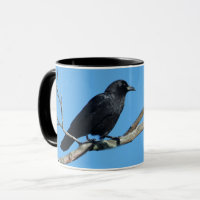 Crow On Branch