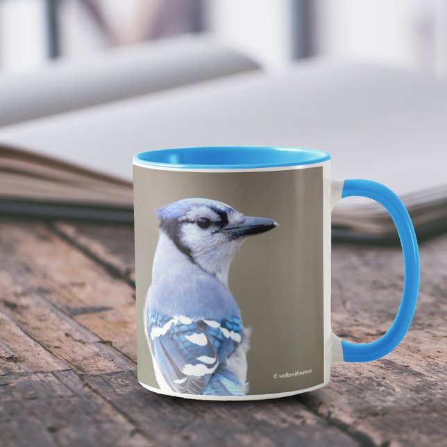 Taza Cuadrillo de Jay azul en Treestump (Cute Blue Jay on Treestump 11 oz Coffee Mug Cover Photo.)