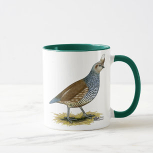 Taza Cual escalada