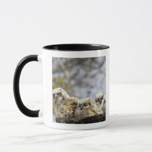Taza Cuatro grandes polluelos del búho de cuernos