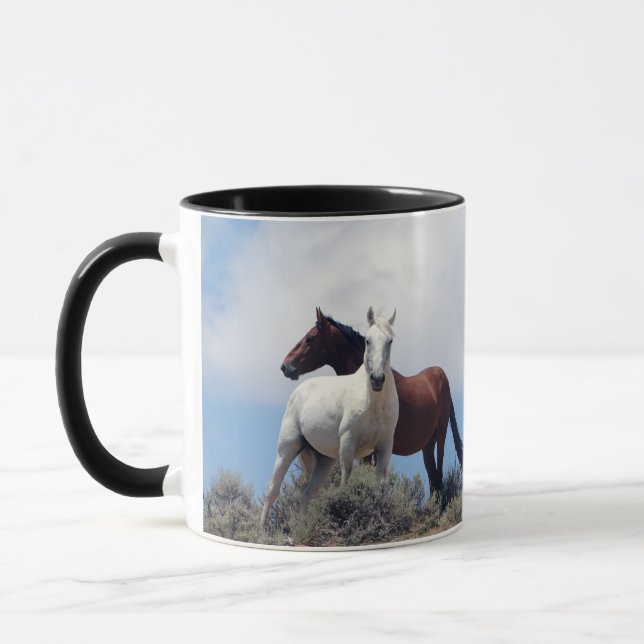Taza Cuenca de Sand Wash (Izquierda)