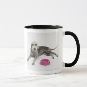 Taza Cuidado de animales de compañía, salud y nutrici