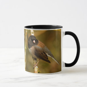 Taza Curioso Seudónimo Sparrow