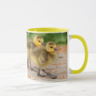 Taza Curso en desfile: Cebollas de oca de Canadá