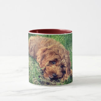 Taza Cute Golden Doodle