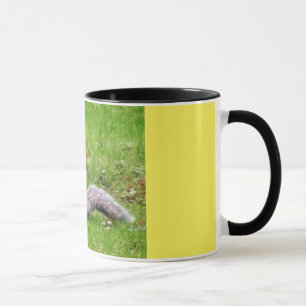 Taza Cute Squirrel Mug