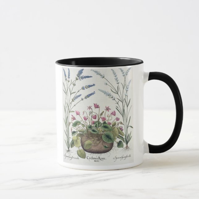 Taza Cyclamen y lavanda: 1.Cyclamen Romanum; 2.Spica (Derecha)